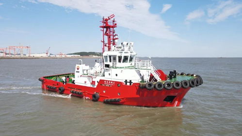 逐风远航，向新而生 青岛造船厂交付中石油广东石化四艘船舶